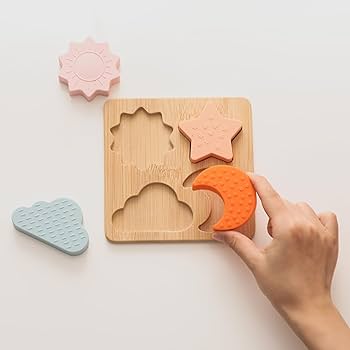 Amazon.co.jp: Promise Babe はめこみパズル 4点 知育玩具